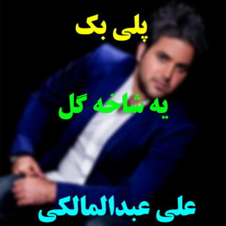 پلی بک یه شاخه گل علی عبدالمالکی