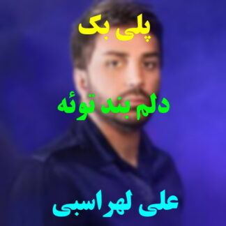 پلی بک دلم بند توئه علی لهراسبی