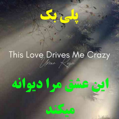 پلی بک This Love Drives Me Crazy