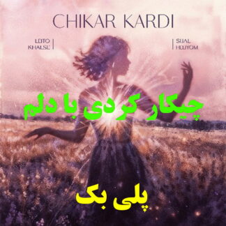 پلی بک چیکار کردی با دلم