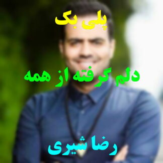 پلی بک دلم گرفته از همه رضا شیری