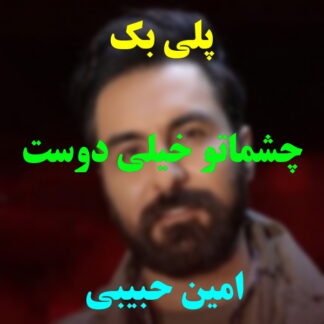 پلی بک چشماتو خیلی دوست دارم امین حبیبی