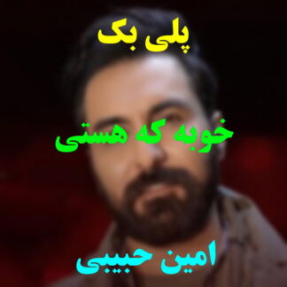 پلی بک خوبه که هستی امین حبیبی