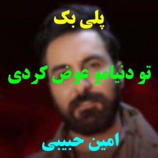 پلی بک تو دنیامو عوض کردی امین حبیبی