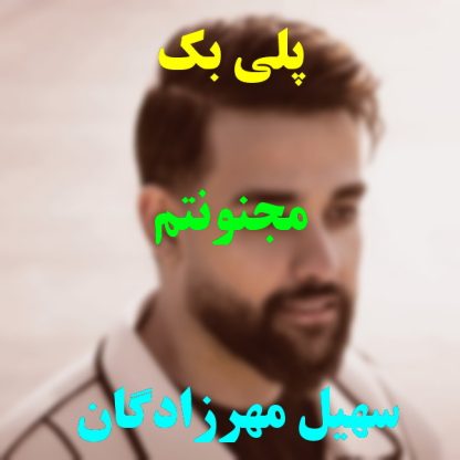 پلی بک مجنونتم سهیل مهرزادگان