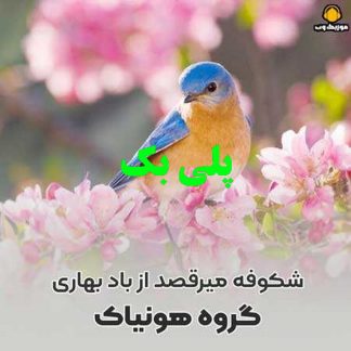 پلی بک شکوفه میرقصد از باد بهاری