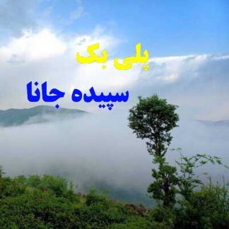 پلی بک سپیده جانا