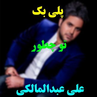 پلی بک تو چطور علی عبدالمالکی