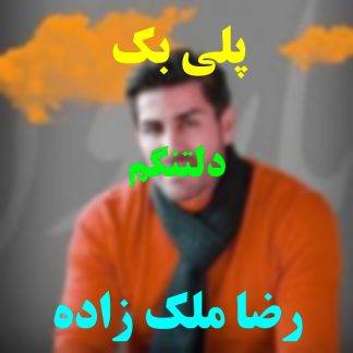 پلی بک دلتنگم رضا ملک زاده