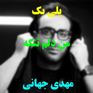پلی بک من دلم تنگه مهدی جهانی