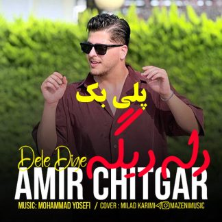 پلی بک دله دیگه امیر چیتگر