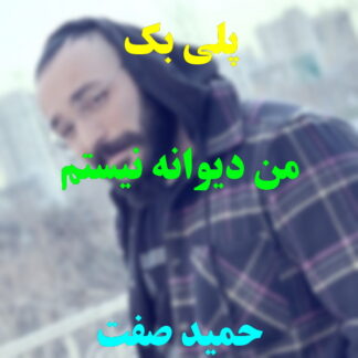 پلی بک من دیوانه نیستم حمید صفت