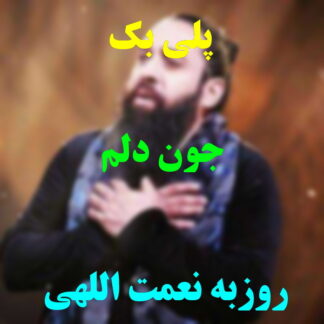پلی بک جون دلم روزبه نعمت الهی