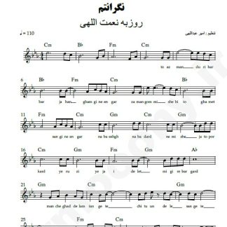 نت کیبورد نگرانتم روزبه نعمت اللهی